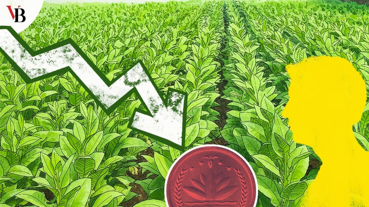  not tobacco industry