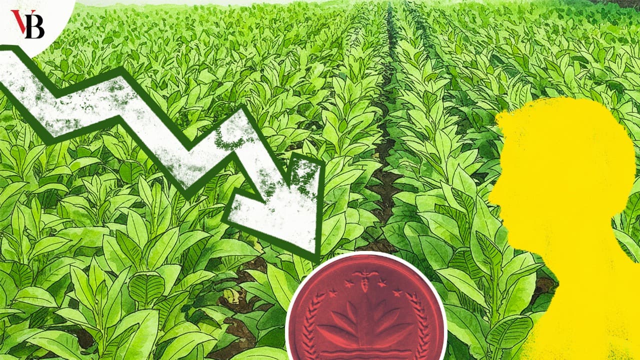  not tobacco industry
