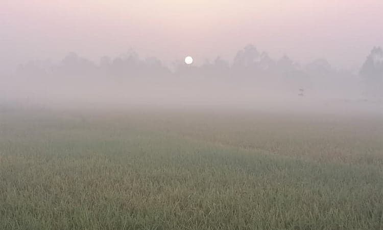 14.2°C temperature recorded in Panchagarh