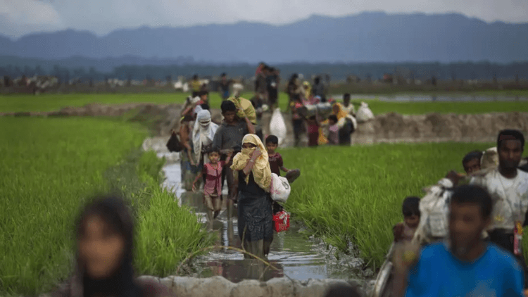UN court to begin hearings on Rohingya genocide case today