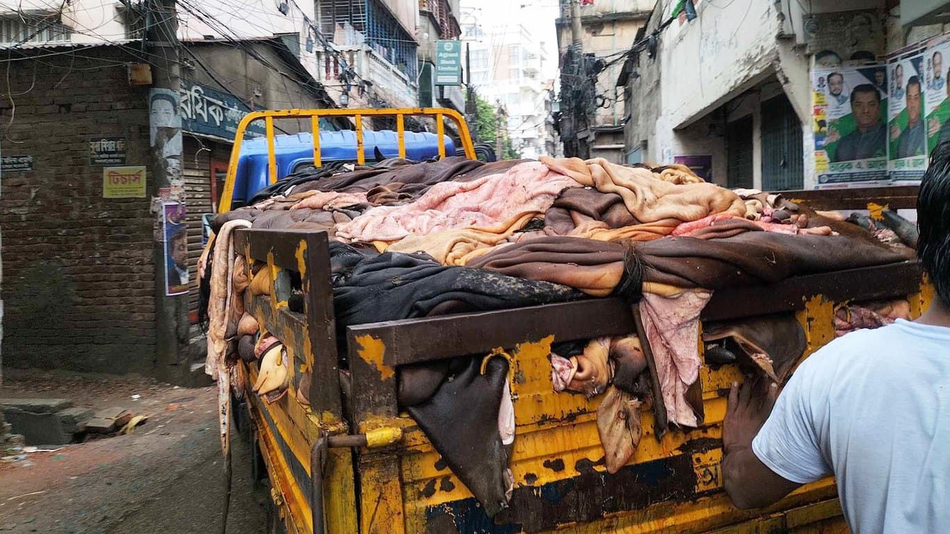 বাংলাদেশ থেকে কাঁচা চামড়া আমদানি করতে চায় মিসর