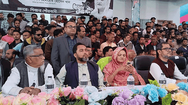 AL leaders seek votes for paddy sheaf chanting 'Joy Bangla, Joy Bangabandhu'