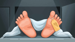 Woman's dismembered body recovered from culvert in Dhaka's Sabujbagh