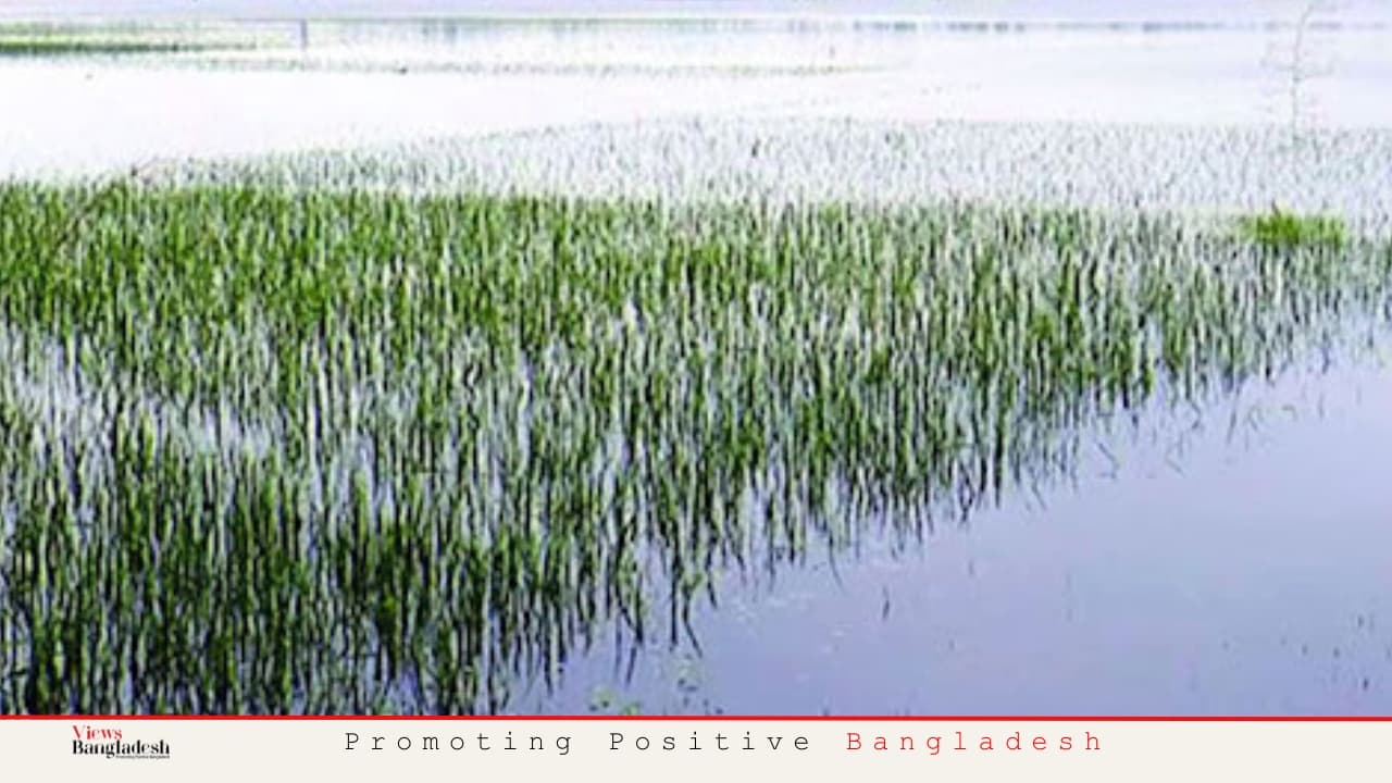 Urgent Government Assistance Needed to Rescue Arable Land