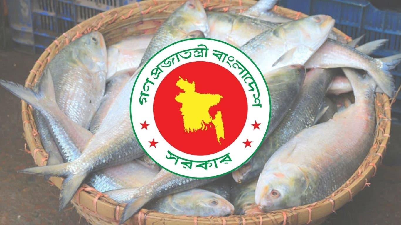 Govt approves export of 1,200mt hilsa to India for Durga Puja