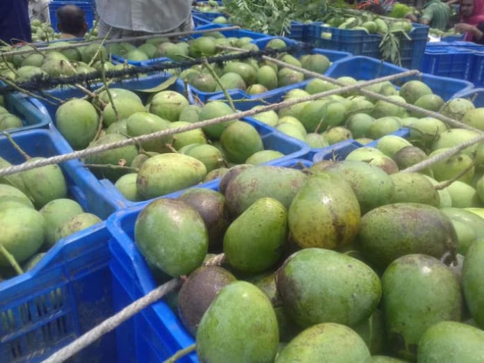 Bangladesh sends 300kg of Haribhanga mangoes gift to Tripura