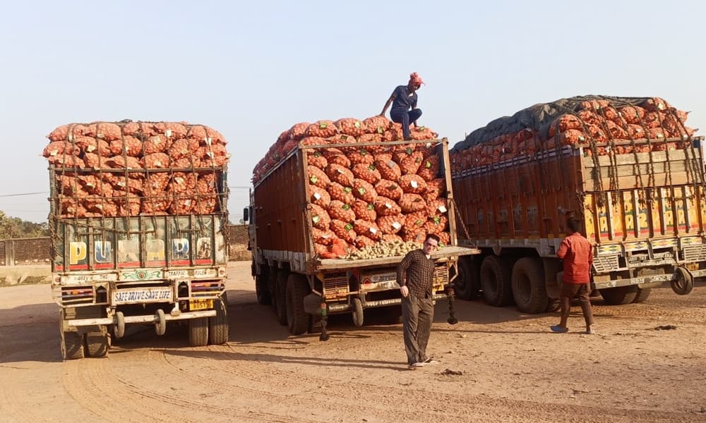 Commencement of Indian potato imports leads to decrease in local potato prices