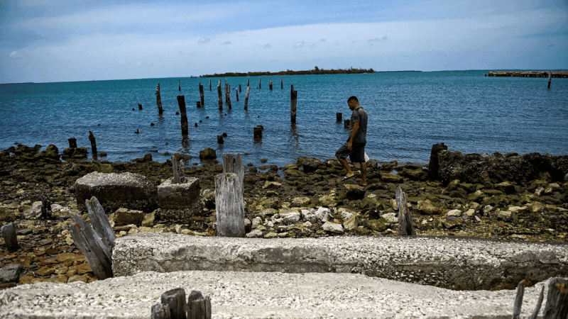 4 killed in Cuban border agents shootouts