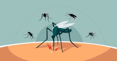 July records 36 dengue deaths, 9,206 cases
