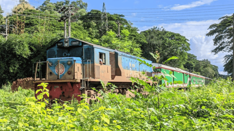 20 km/h train speed limit set through wildlife sanctuarie