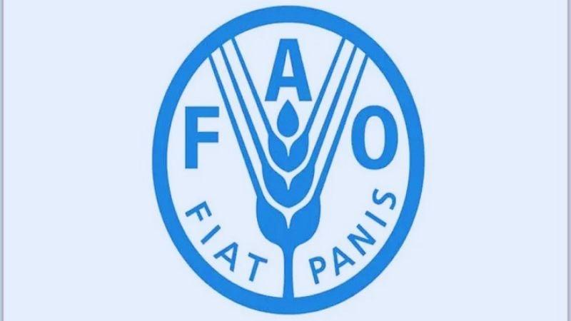 Global food prices reach 18-month high: FAO