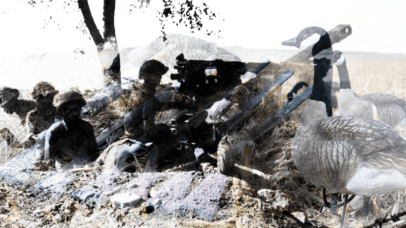 Blueprint for extermination of Bengalis under guise of duck hunting