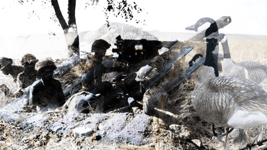 Blueprint for extermination of Bengalis under guise of duck hunting