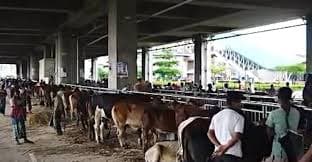 Cattle market under metro station causes Tk3m damage