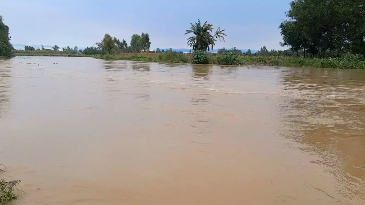 Flood threats rise in Sherpur as three rivers flow above danger level