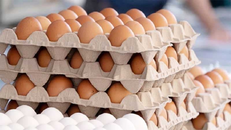 Cheap eggs’ sale yet to start despite announcement