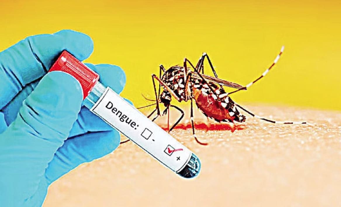 2 more die of dengue, 395 hospitalized in 24hrs