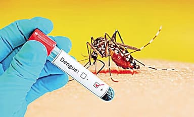 2 more die of dengue, 395 hospitalized in 24hrs