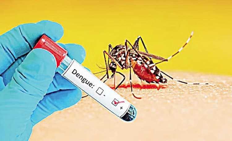 2 more die of dengue, 395 hospitalized in 24hrs