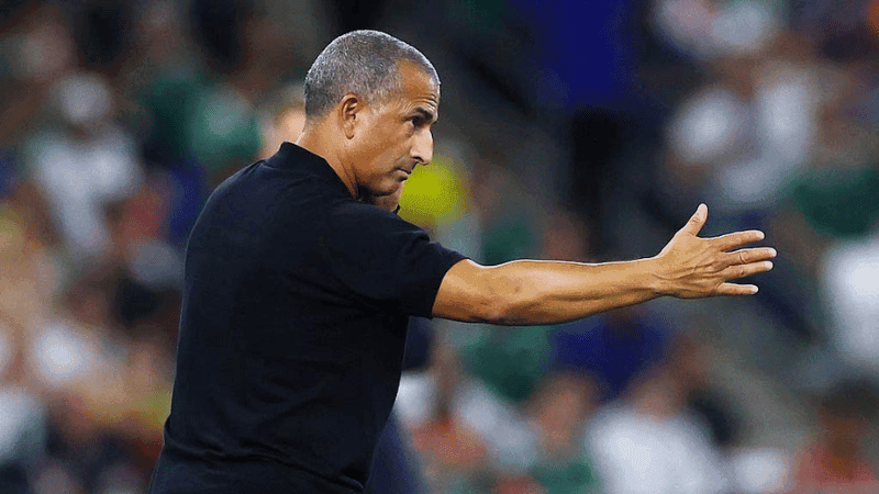 Tunisia sack coach Lamouchi after defeat to Sweden