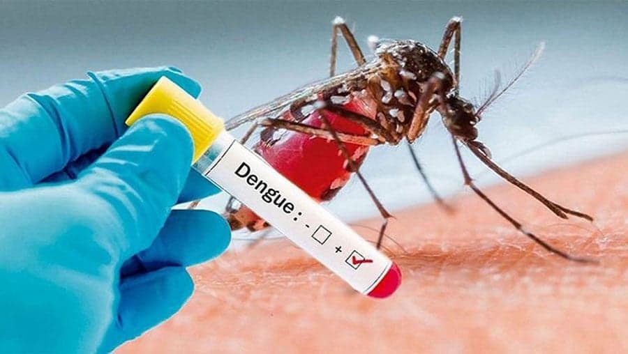 2 die of dengue, 195 hospitalised in 24hrs