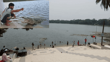 Crocodile in Bagerhat shrine pond hunts dogs even on land