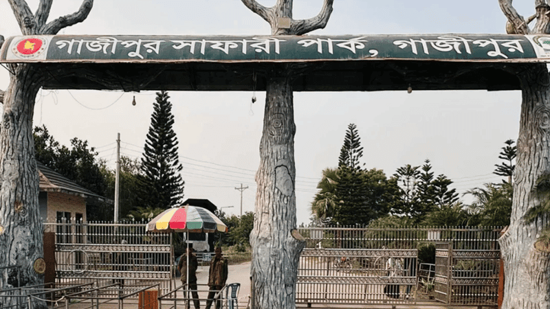 Gazipur Safari Park staff accused of assaulting visitors, snatching valuables