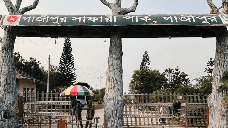 Gazipur Safari Park staff accused of assaulting visitors, snatching valuables