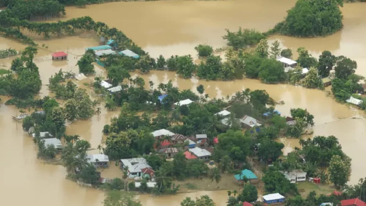 Take necessary steps to reduce disaster risk