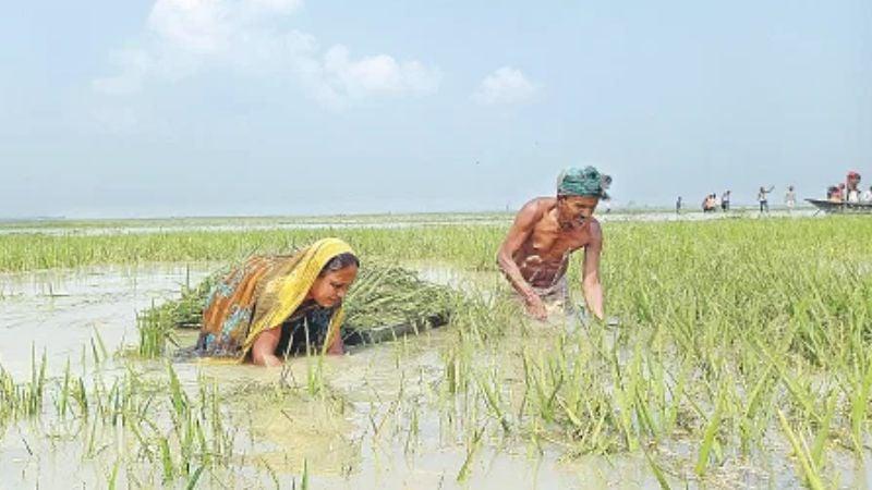 60 lakh hectares of crop land damaged by recent floods: Adviser Farooq