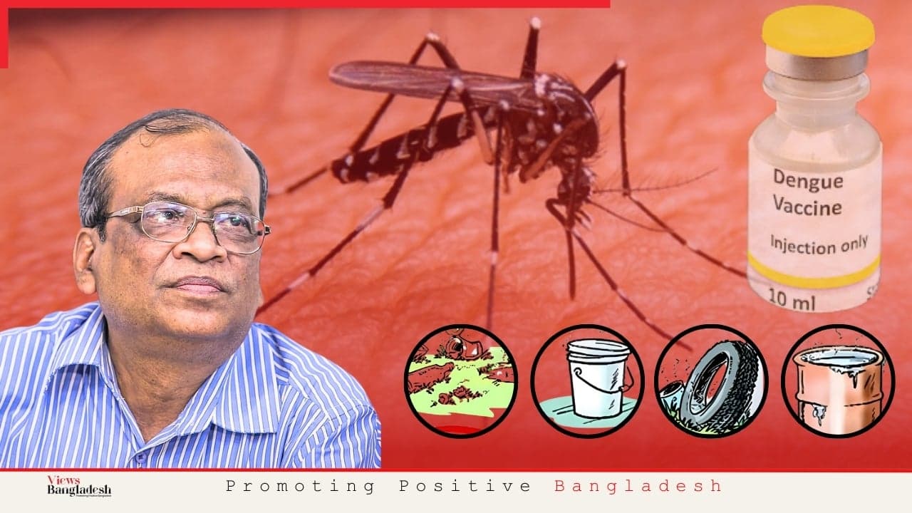 Dengue treatment should focus on prevention rather than vaccination