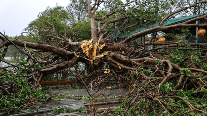 Typhoon Bualoi kills 19 in Vietnam, 21 missing