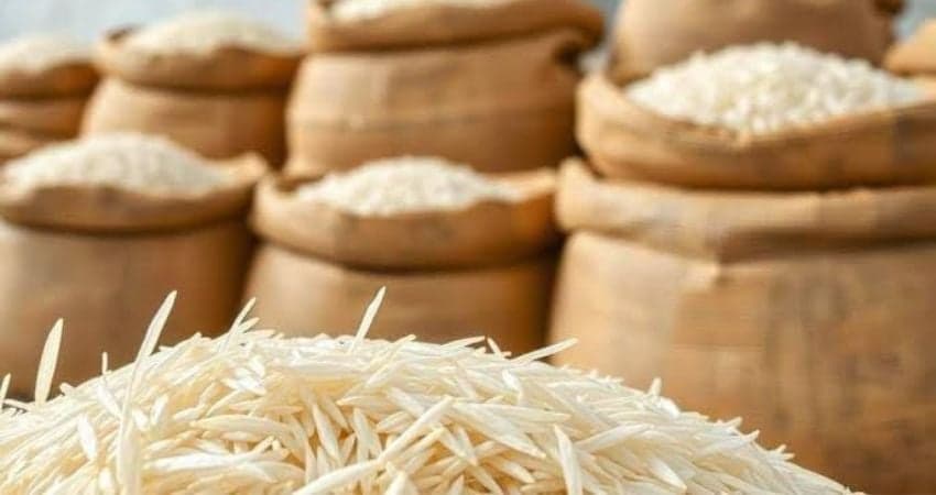 Iran-Israel conflict halts Indian rice exports; 14,000 tonnes stuck midway
