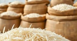 Govt to provide rice at Tk 15 per kg to 55 lakh families