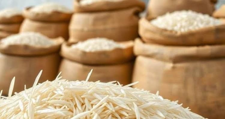 Iran-Israel conflict halts Indian rice exports; 14,000 tonnes stuck midway