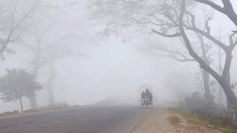 Severe cold grips Bangladesh, disrupts daily life