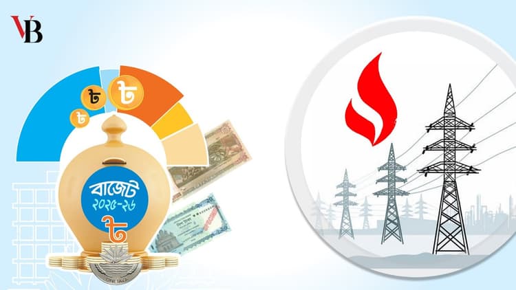 বিদ্যুৎ জ্বালানিতে বরাদ্দ ২২ হাজার ৫২০ কোটি টাকা