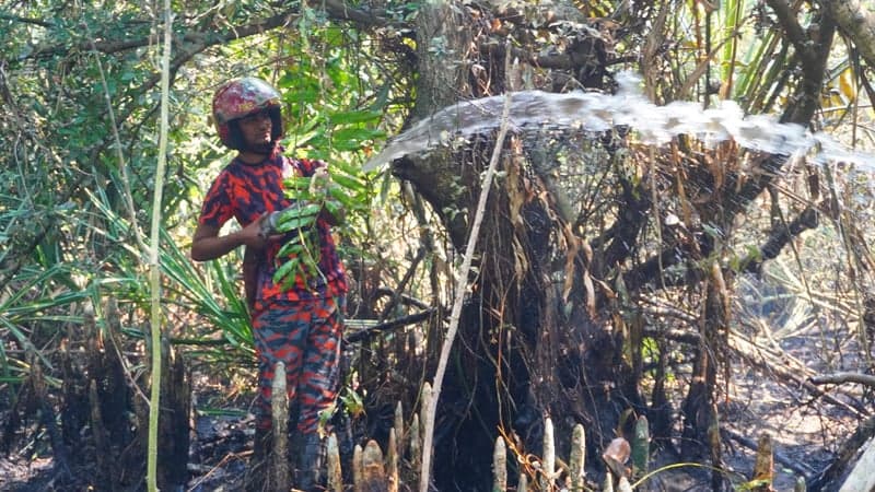 Sundarbans fire fully controlled after 48 hours