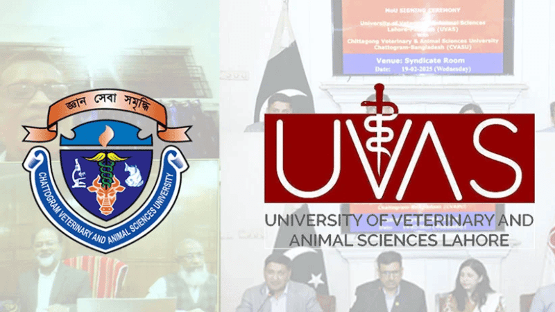 Chittagong Veterinary University students to do internship in Pakistan