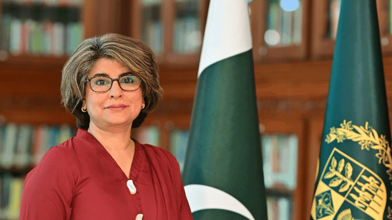 Pakistan's Foreign Secretary arrives in Dhaka