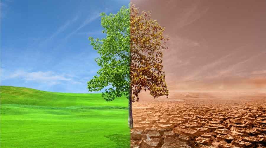 Global climate change impact and global crisis