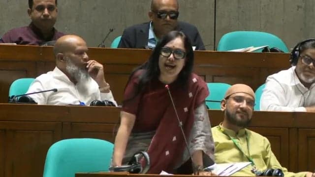BNP in power means records – now loan defaults: Rumeen Farhana