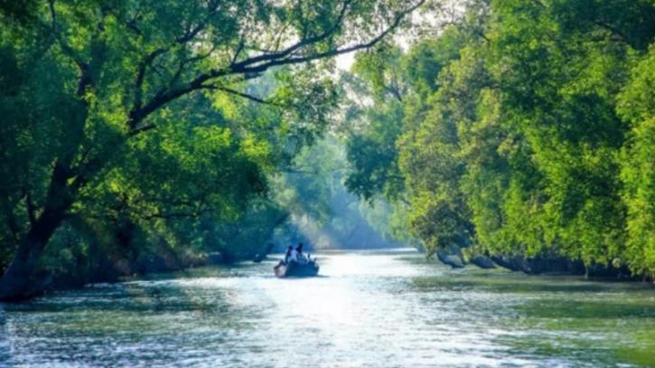 Entry to Sundarbans restricted for 3 months