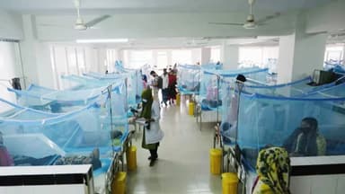 726 new dengue patients hospitalised