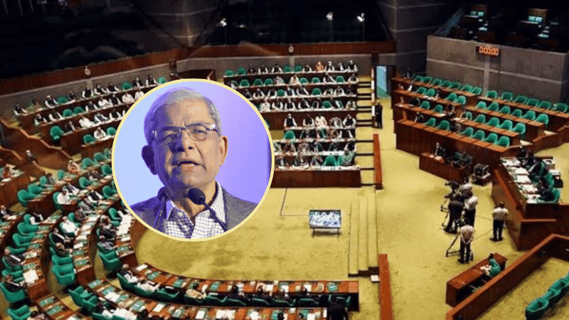 Local government elections in phases from Sept or Oct: Mirza Fakhrul
