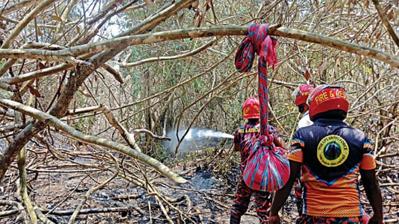 সুন্দরবনে অগ্নিকাণ্ড, ৫ একর এলাকার ক্ষতি নিরূপণে কমিটি