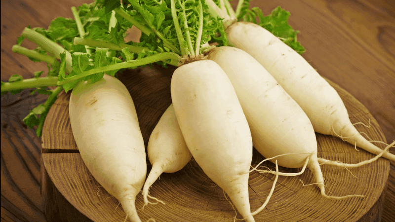 Benefits of eating radish in winter