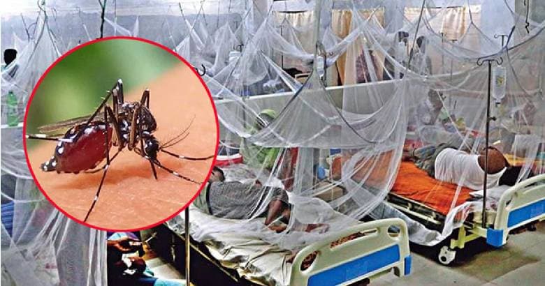 Highest 1,097 dengue patients hospitalized in a day, three die