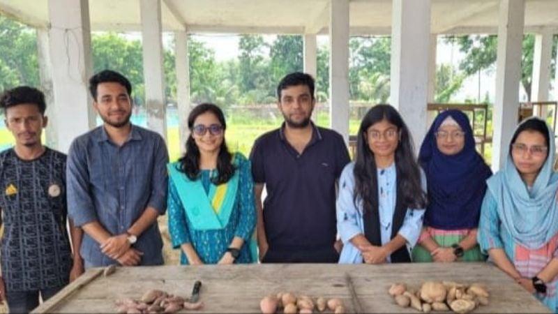 New varieties of sweet potato may help prevent diabetes, cancer