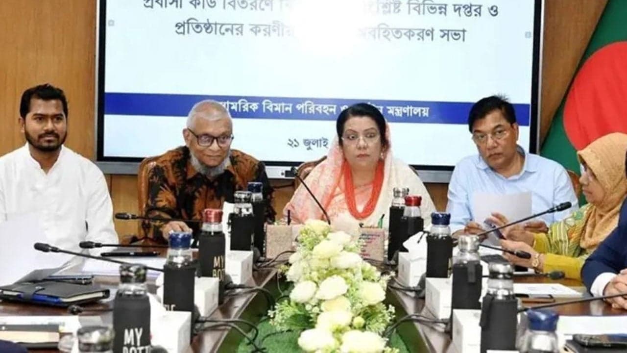 Expatriate cardholders to receive ticket discounts, lounge access, and priority services: Minister